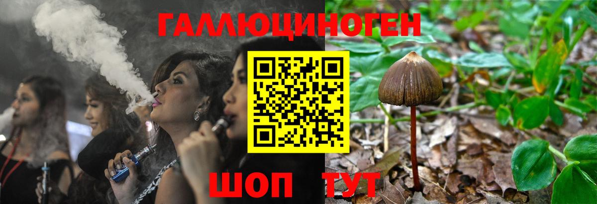Галлюциногенные грибы Psilocybe Учалы