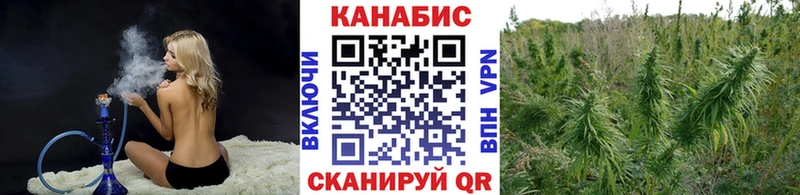 закладки  Учалы  Шишки марихуана MAZAR 